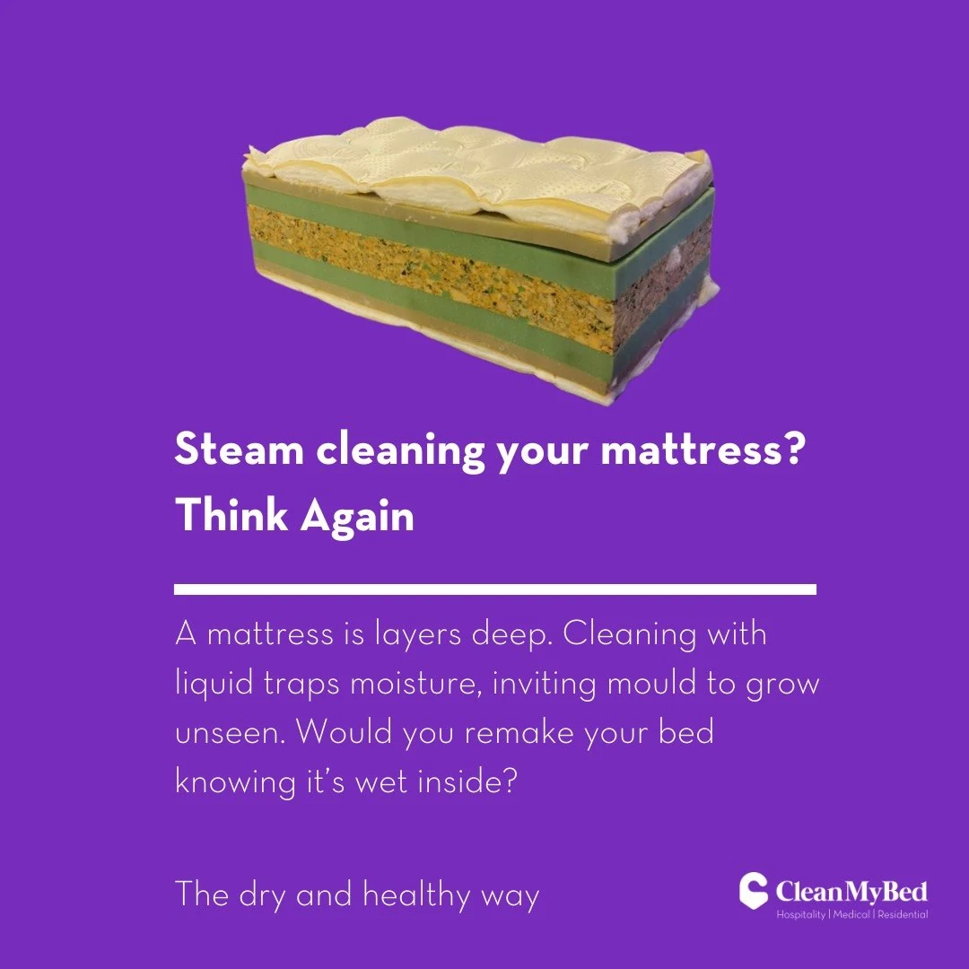 Steam cleaning your mattress? Think again: a mattress cut open to show the layers where moisture and allergen sit below the surface